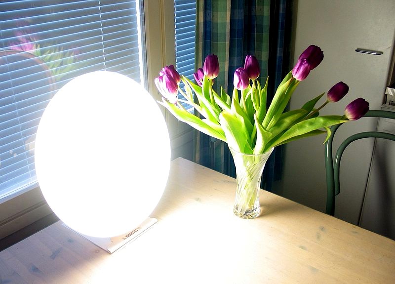 Bright Light Therapy Lamp Health Benefits